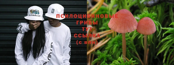 первитин Армянск