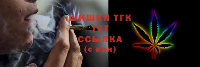 мдпв Новозыбков
