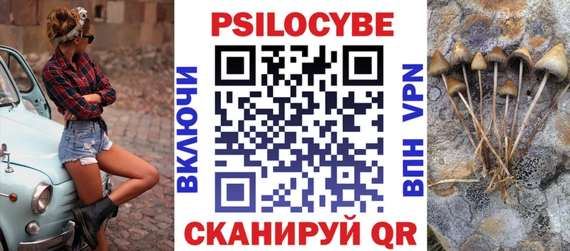 Псилоцибиновые грибы Psilocybine cubensis  Бугульма 